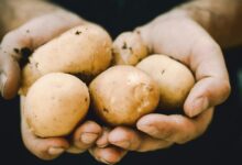 Batata lidera alta dos alimentos em maio