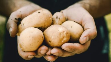 Batata lidera alta dos alimentos em maio
