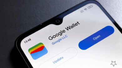 Google Wallet amplia identificação digital na Europa