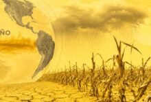 El Niño 2026 pode encarecer os alimentos