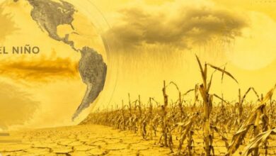 El Niño 2026 pode encarecer os alimentos