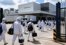 Frigoríficos entram em férias coletivas e ajustam produção