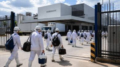 Frigoríficos entram em férias coletivas e ajustam produção