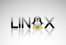Linus Torvalds apoia uso de IA no kernel Linux