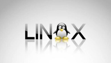 Linus Torvalds apoia uso de IA no kernel Linux
