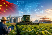 China muda estratégia agrícola e desafia o agro brasileiro