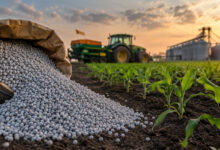 Fertilizantes caem 14,7% e preocupam setor agrícola